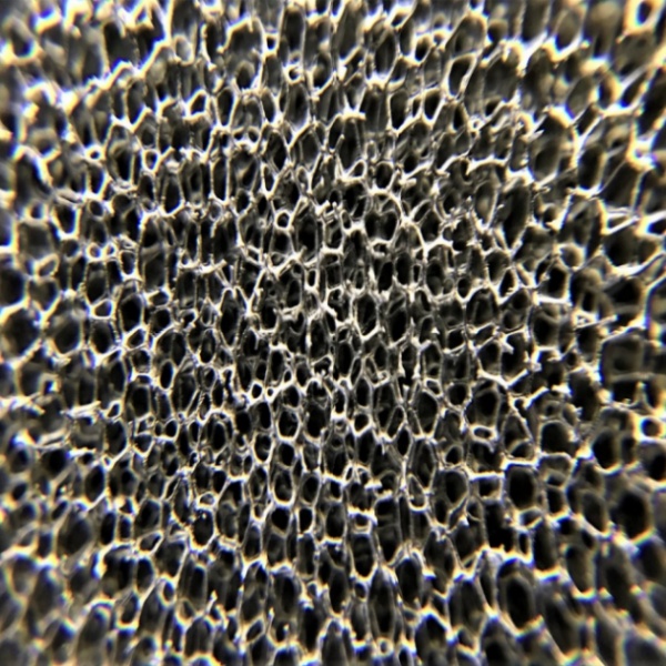 graphene foam